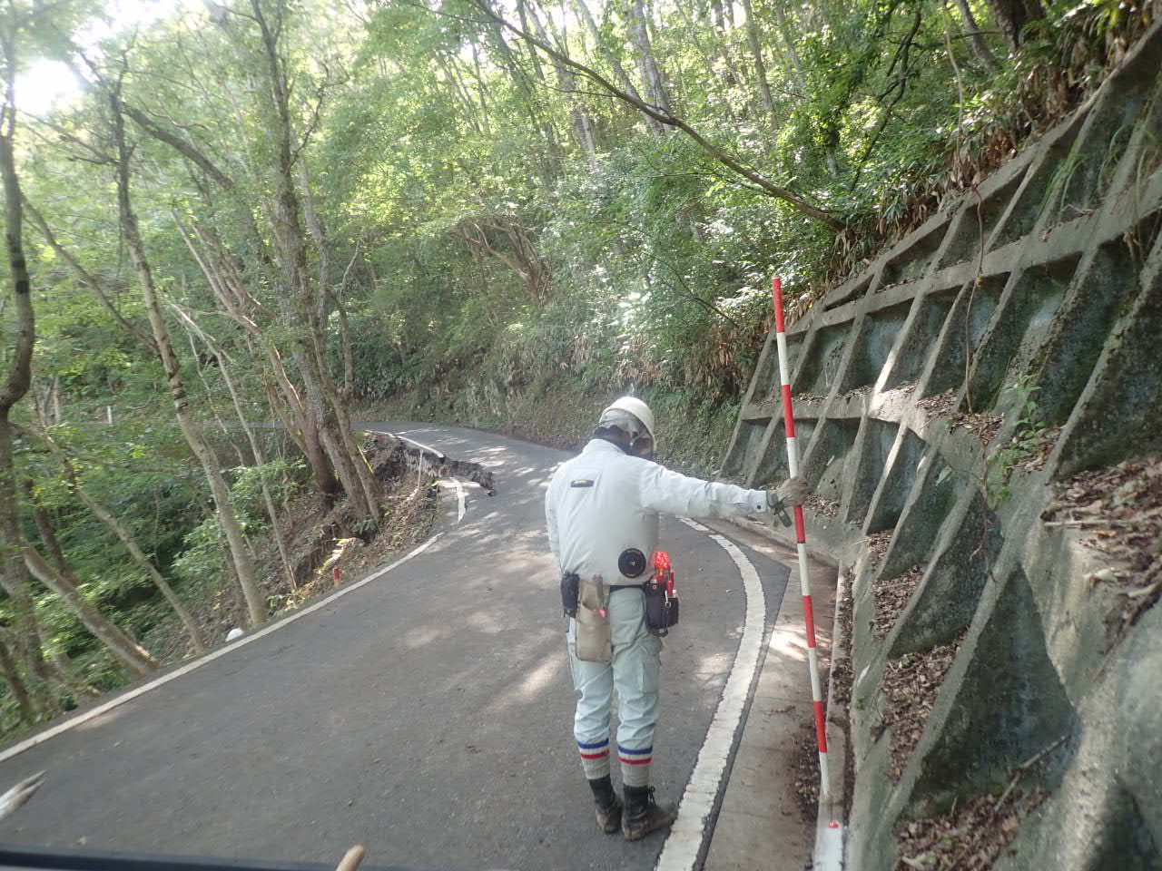 大野部備中線 路肩